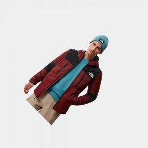 Chaquetas Aislantes The North Face Himalayan Light Hombre Rojos Oscuro | 52098-LMON