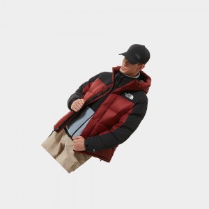 Chaquetas Aislantes The North Face Himalayan Hombre Rojos Oscuro | 79681-CMHU