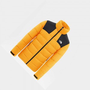 Chaquetas Aislantes The North Face Massif Hombre Dorados Negros | 63547-PXEB
