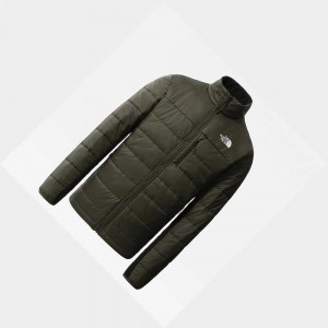 Chaquetas Aislantes The North Face Modis Synthetic Hombre Verdes | 08961-OPMT