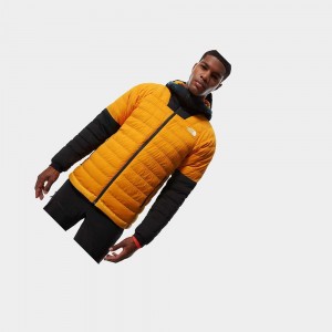 Chaquetas Aislantes The North Face Summit Series™ L3 50/50 Hooded Hombre Dorados Negros | 04618-CHPR