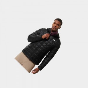 Chaquetas Aislantes The North Face Thermoball™ Eco Hooded Hombre Negros | 64098-DONY