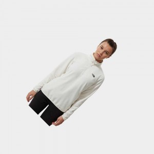 Chaquetas De Lana The North Face 100 Glacier Quarter-zip Mujer Blancos | 74186-AZYX