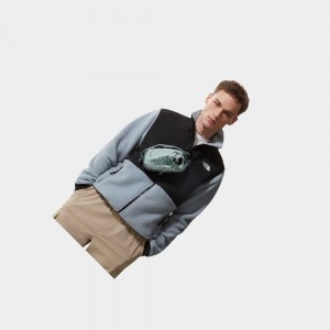 Chaquetas De Lana The North Face Denali 2 Hombre Grises | 81564-STFI