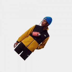 Chaquetas De Lana The North Face Denali 2 Hombre Amarillos | 17625-HZXT