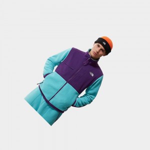 Chaquetas De Lana The North Face Denali 2 Hombre Azules Morados | 25397-WYLD