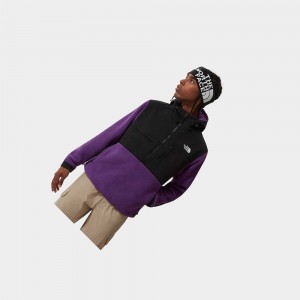 Chaquetas De Lana The North Face Denali 2 Anorak Hombre Morados | 08572-SHGC