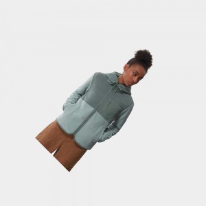 Chaquetas De Lana The North Face Mountain Mujer Plateados Azules Verdes | 18534-YZRM