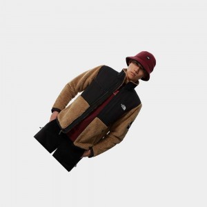 Chaquetas De Lana The North Face Mtn Archives Denali Sherpa Hombre Marrom | 51798-QNKY