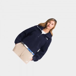 Chaquetas De Lana The North Face Printed Platte Sherpa Mujer Azules | 91567-NEQC