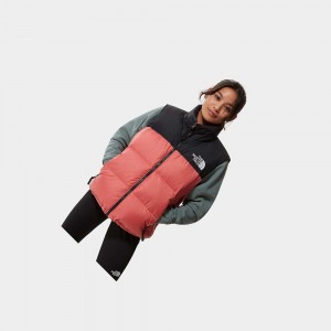 Chaquetas De Plumas The North Face 1996 Retro Nuptse Mujer Rosas | 79518-HFLK