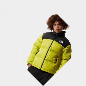 Chaquetas De Plumas The North Face 1996 Retro Nuptse Packable Hombre Verdes | 10756-HXTJ