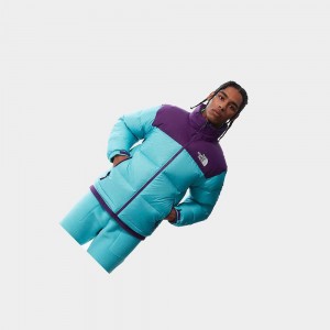 Chaquetas De Plumas The North Face 1996 Retro Nuptse Packable Hombre Azules Morados | 93064-ZDEC