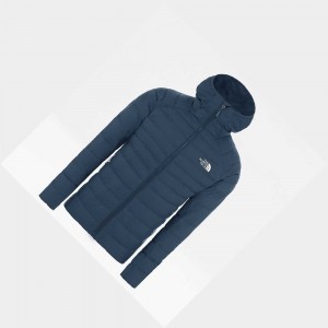 Chaquetas De Plumas The North Face New Hometown Hombre Azules Turquesa | 31064-FIAT