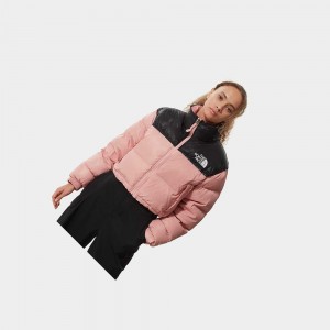 Chaquetas De Plumas The North Face Nuptse Short Mujer Rosas Marrom | 16029-GLIK