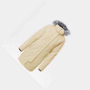 Chaquetas Parka The North Face Aral Mujer Amarillos | 76134-PGSR