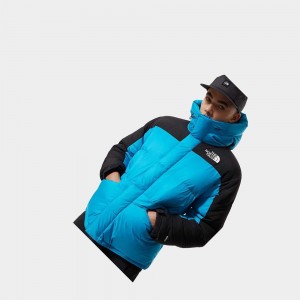 Chaquetas Parka The North Face Himalayan Hombre Azules | 90512-SQME