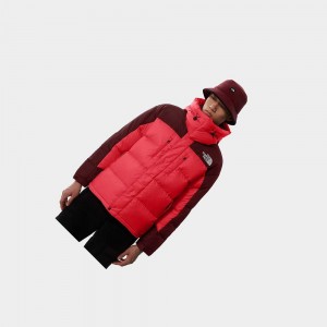 Chaquetas Parka The North Face Search & Rescue Himalayan Hombre Rosas Rojos | 75910-YHNQ