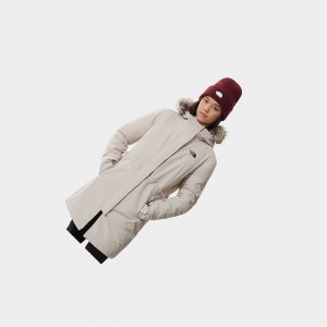 Chaquetas Parka The North Face Zaneck Mujer Plateados Grises | 62183-VLIF