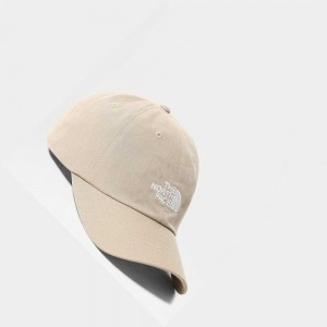 Gorras The North Face Norm Hombre Marrom Claro | 87561-GYSN