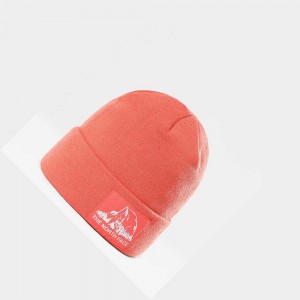 Gorro The North Face Dock Worker Recycled Mujer Naranjas | 67834-UOFG