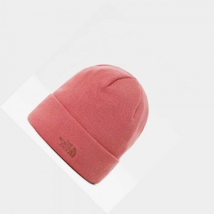 Gorro The North Face Norm Shallow Mujer Rosas | 46720-VXLK