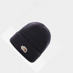 Gorro The North Face Salty Dog Mujer Azul Marino Blancos | 16409-VNOB
