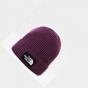 Gorro The North Face Tnf Logo Box Cuffed Hombre Morados | 42697-PFHS