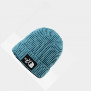 Gorro The North Face Tnf Logo Box Cuffed Hombre Azules | 28054-JLHO