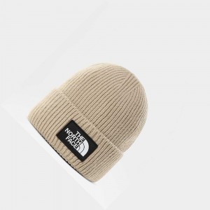 Gorro The North Face Tnf Logo Box Cuffed Mujer Marrom Claro | 97253-FVIC