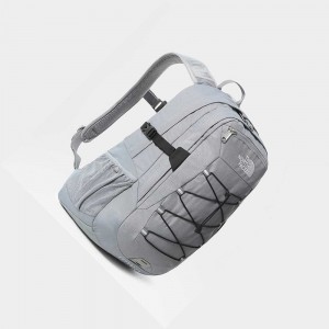 Mochilas The North Face Borealis Classic Mujer Grises | 20794-BLRA