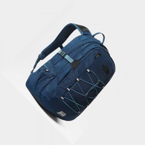 Mochilas The North Face Borealis Classic Mujer Azules | 50926-NTOK