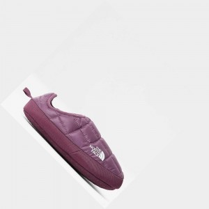 Mulas The North Face Thermoball™ Tent V Mujer Morados Blancos | 75462-SANU