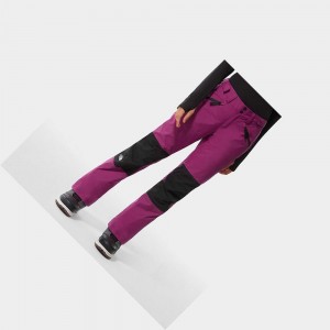 Pantalon Esquí The North Face Aboutaday Ski Mujer Morados | 68954-EPKG