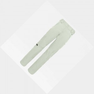 Pantalon Esquí The North Face Ravina Mujer Grises | 95273-CTMP