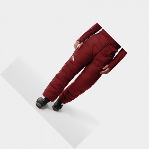 Pantalon The North Face Amk L6 1000-fill Cloud Hombre Rojos | 18526-HZYV