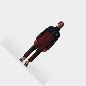 Pantalon The North Face Mtn Archives Track Hombre Rojos | 87419-MLED