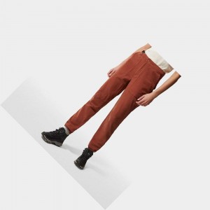 Pantalon The North Face North Dome Mujer Marrom | 73840-DIXN