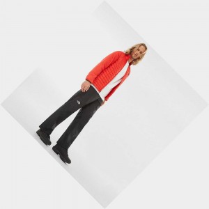 Pantalon The North Face Resolve Hombre Negros | 49135-OJQA