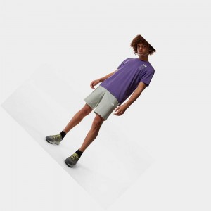 Short The North Face Glacier Hombre Grises | 86743-CQRA