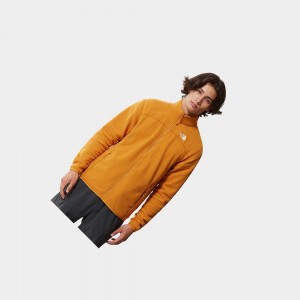 Sudadera The North Face 100 Glacier Full-zip Fleece Hombre Amarillos | 87924-QRIX