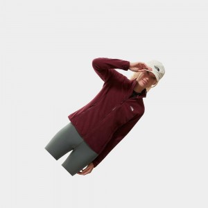 Sudadera The North Face 100 Glacier Full-zip Fleece Mujer Rojos | 06719-JHRU