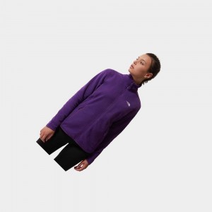 Sudadera The North Face 100 Glacier Full-zip Fleece Mujer Morados | 97532-NPIO