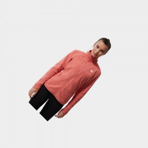 Sudadera The North Face 100 Glacier Full-zip Fleece Mujer Rosas | 64127-XQEK