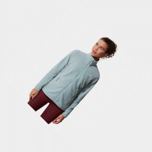 Sudadera The North Face 100 Glacier Full-zip Fleece Mujer Plateados Azules | 91350-HGDN