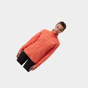 Sudadera The North Face 100 Glacier Full-zip Fleece Mujer Naranjas | 68345-WABI