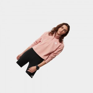 Sudadera The North Face Cropped Glacier Fleece Mujer Rosas Marrom | 91572-ROBT