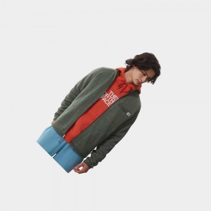 Sudadera The North Face Gordon Lyons Fleece Hombre Verdes | 08921-ZGNC