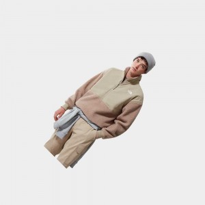 Sudadera The North Face Platte Sherpa ¼ Zip Fleece Hombre Marrom Claro | 58706-JIKL