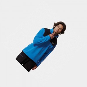 Sudadera The North Face Tka Glacier Snap-neck Fleece Hombre Azules Negros | 20681-NACE